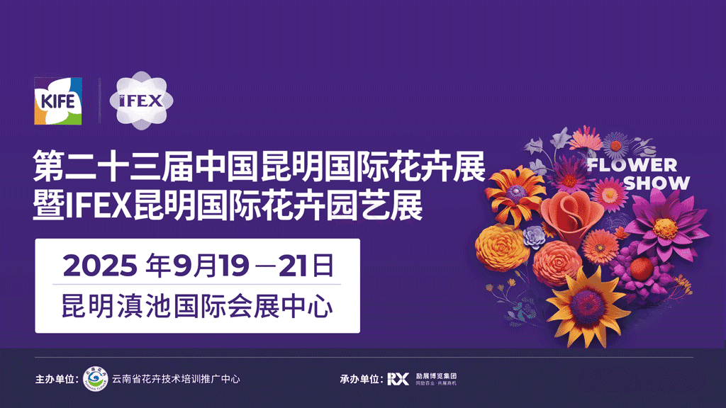 2025必打卡！第23届昆明花展，四展联动新体验一键解锁~免费门票限时领...